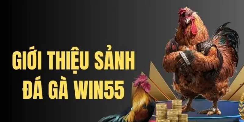 Giới thiệu sảnh đá gà WIn55