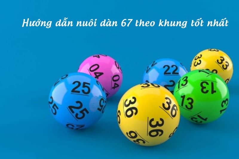 Hướng dẫn nuôi dàn 67 theo khung tốt nhất
