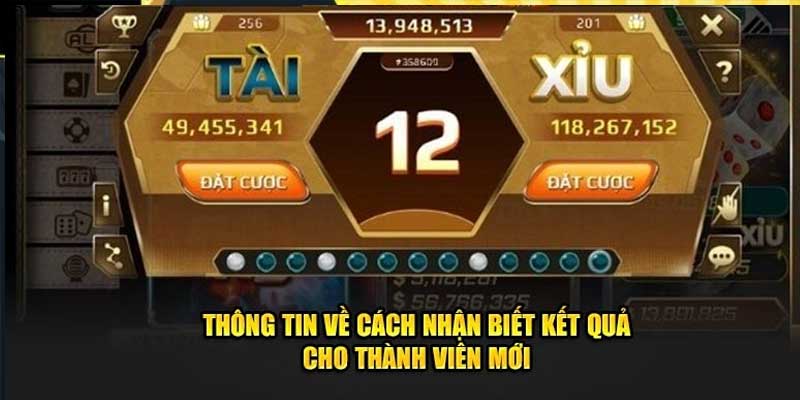 Kinh nghiệm tham gia tài xỉu Win55