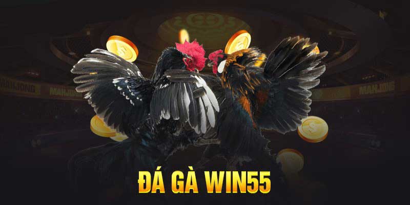Ưu điểm khi tham gia đá gà Win55